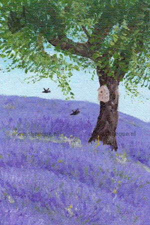 kunst kaart provencde